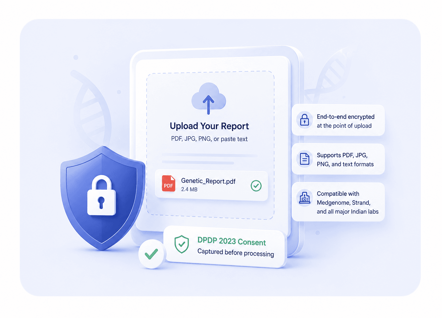 Upload Your Report